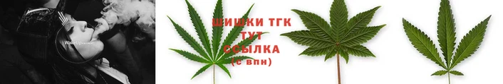 ешки Зеленодольск