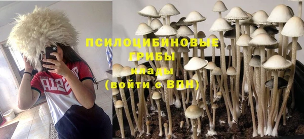 ешки Зеленодольск