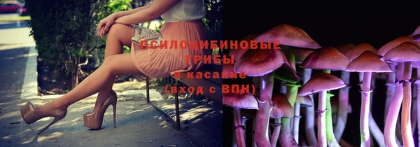 эйфоретик Зеленокумск